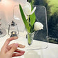 🏺 50% RABATT! ✨ Estetik i nordisk stil – Elegant INS fotoramme-vas – Transparent & modern design – perfekt för torkade blommor, foto eller som inredningsdetalj 🖼️🌿