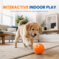⏳Zeitlich begrenztes Angebot⏳ Interaktiver Spielball für Hunde und Katzen – automatisch rollend und hüpfend, bewegungsaktiviert und per USB aufladbar