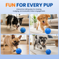 ⏳Zeitlich begrenztes Angebot⏳ Interaktiver Spielball für Hunde und Katzen – automatisch rollend und hüpfend, bewegungsaktiviert und per USB aufladbar