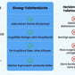 ⏳Zeitlich begrenztes Angebot⏳ Toilettenbürsten-System zur Wandmontage – Einweg-Reinigungsköpfe mit integriertem Reiniger und Ein-Knopf-Abwurf