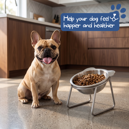 🥣✨15° geneigter erhöhter Hundenapf aus Edelstahl für kleine Hunde