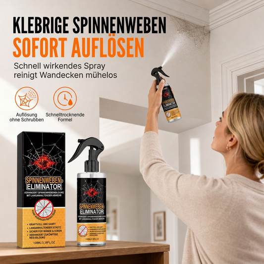 🧼 Spinnweben-Entferner-Spray für Decken und Ecken, 100 ml