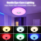 LED-Deckenleuchte mit Bluetooth-Lautsprecher, RGB-Licht und App-Steuerung