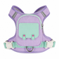 ⏳Zeitlich begrenztes Angebot⏳ 🐶 Geschirr mit Leine & Mini-Rucksack für kleine Hunde & Katzen – für Pudel, Bichon & Spitz, bequem & sicher
